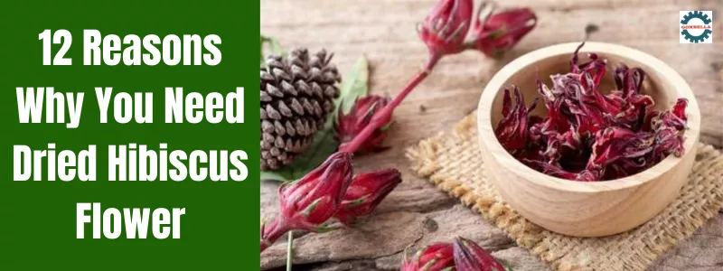 Dried Hibiscus Flower Benefits