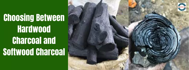 Hardwood Charcoal and softwood charcoal