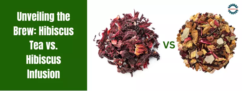 Hibiscus Tea vs. Hibiscus Infusion