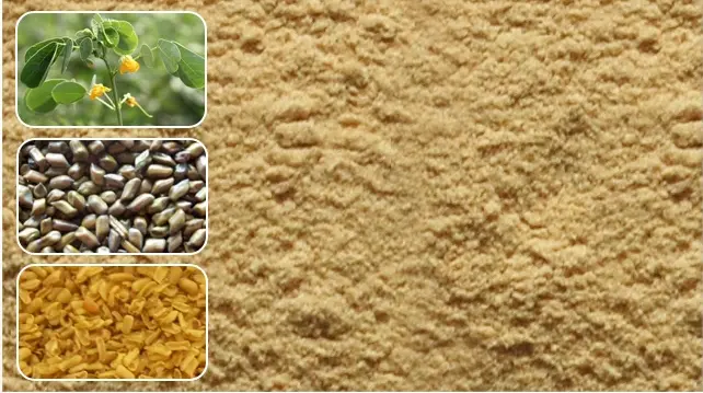 Cassia Tora Gum Powder