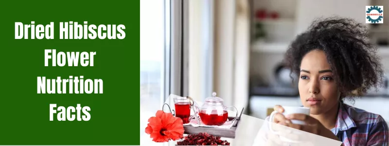 Hibiscus Flowers as a Natural Remedy for Headaches