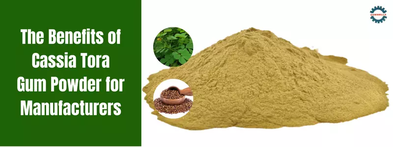 Benefits of Cassia Tora Gum Powder