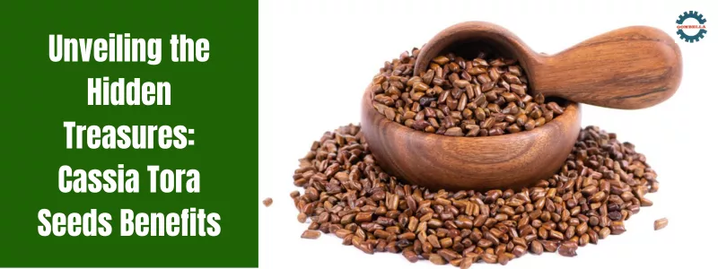 Cassia Tora Seeds Benefits