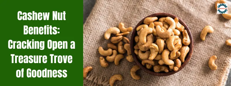 Cashew Nut Benefits