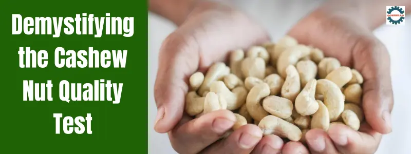 Demystifying the Cashew Nut Quality Test