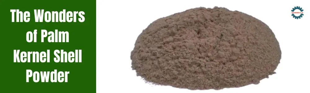 Palm Kernel Shell Powder