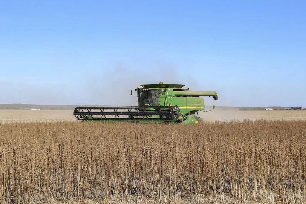 Combine for sesame seed harvesting