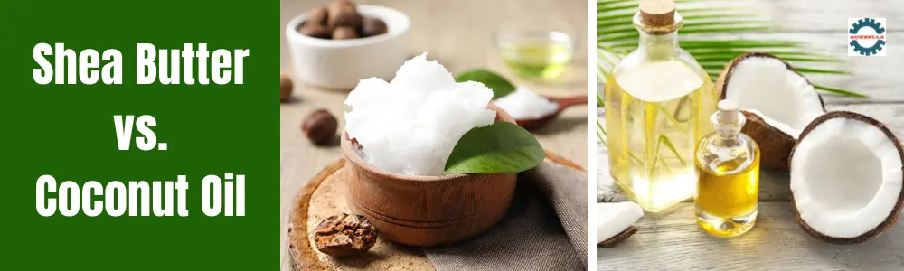 Shea Butter vs. Coconut Oil