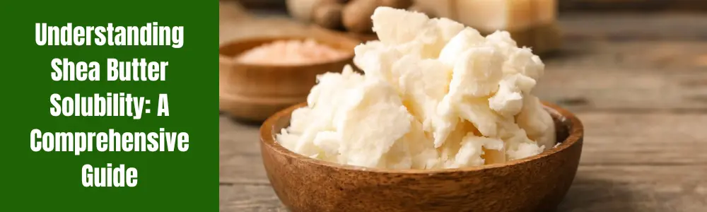 Understanding Shea Butter Solubility