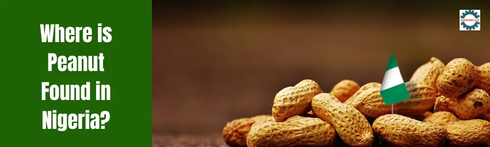 Where is Peanut Found in Nigeria