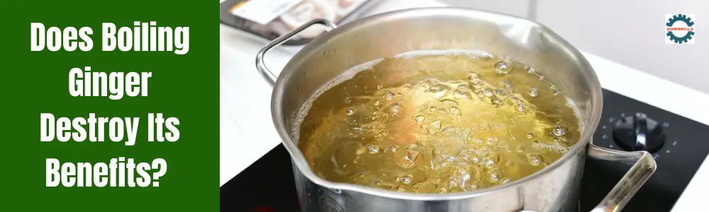 Does Boiling Ginger Destroy Its Benefits