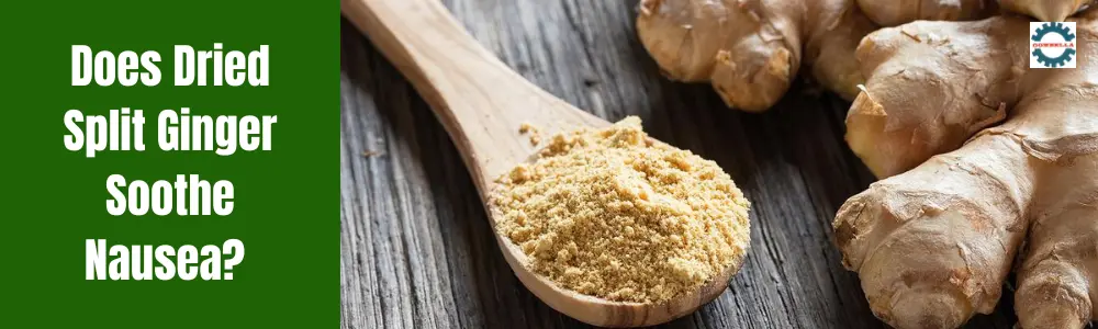 Does Dried Split Ginger Soothe Nausea?