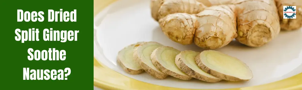 Does Dried Split Ginger Soothe Nausea?